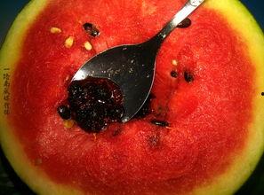 奇葩杯子带你吃瓜,一场别开生面的“吃瓜”之旅