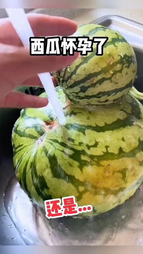 好玩吃瓜,好玩吃瓜，一网打尽明星幕后故事